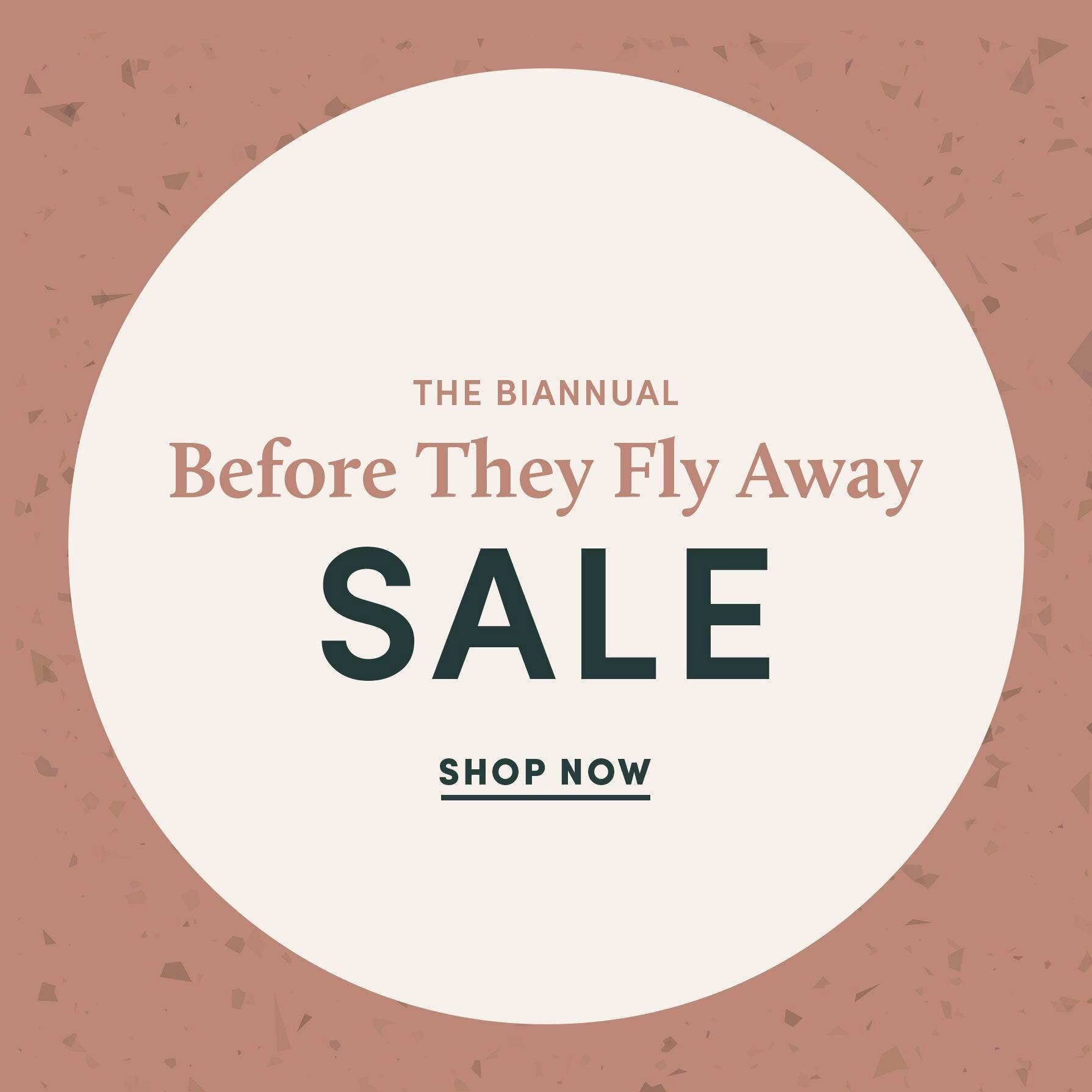 Before They Fly Away Sale